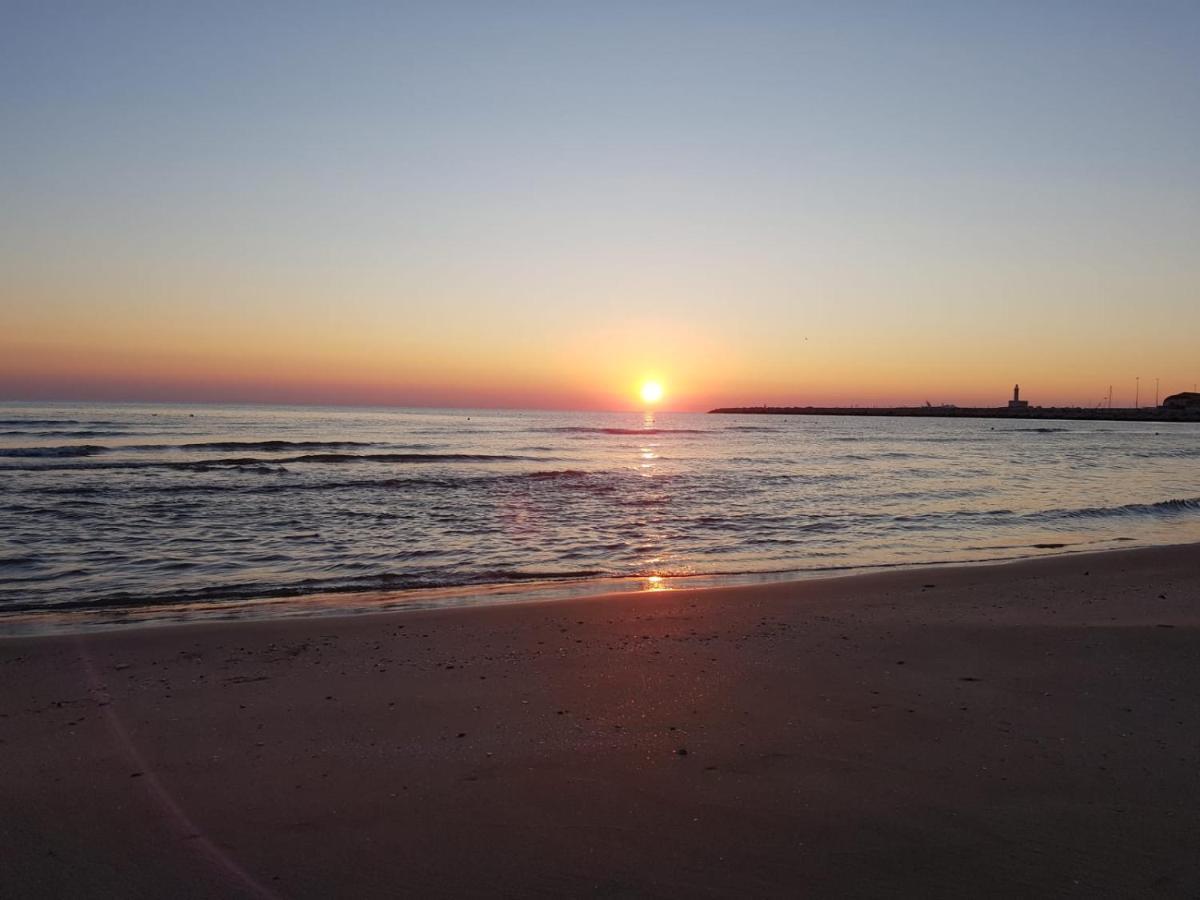 Gioia Sea View Leilighet Năvodari Eksteriør bilde